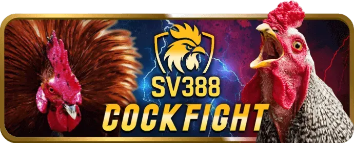Hình ảnh minh họa quy trình đăng ký tài khoản tại 286bet
